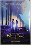 White Bird